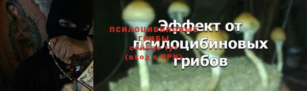 таблы Белокуриха
