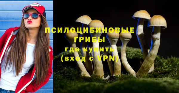 а пвп мука Бронницы