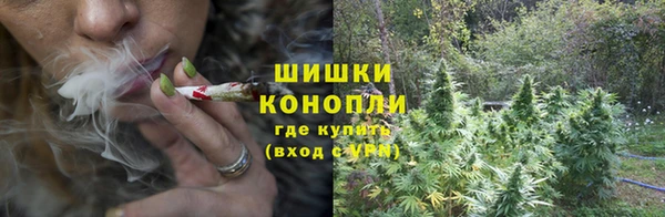 таблы Белокуриха