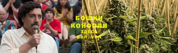 экстази Бородино