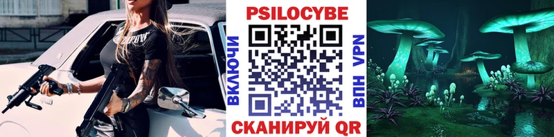 где найти наркотики  Ишимбай  Галлюциногенные грибы Psilocybe 